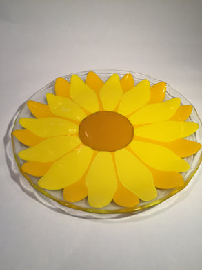 FLAT PLAT-DAISY ON CLEAR